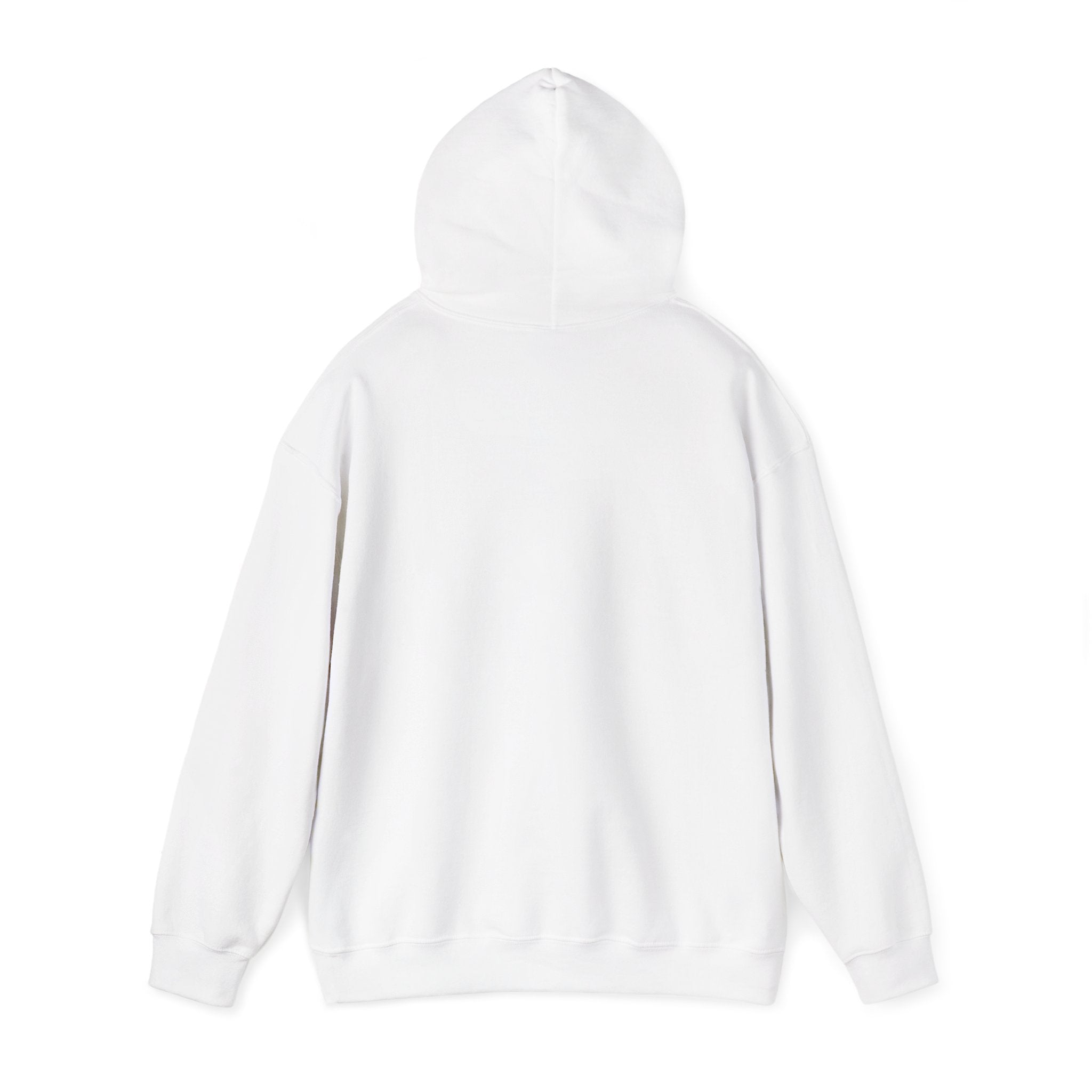 Type 1 Optimist Hoodie
